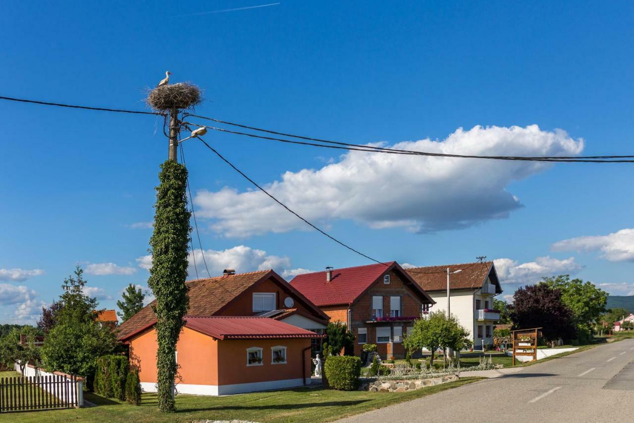 Apartments Margetic Zivike Екстер'єр фото